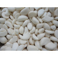 New Crop Pure White Chinesisch Geschälte Knoblauch (180-220grains / kg)